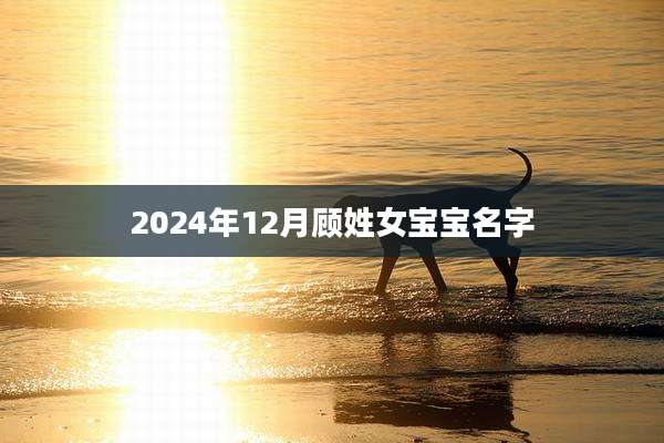 2024年12月顾姓女宝宝名字