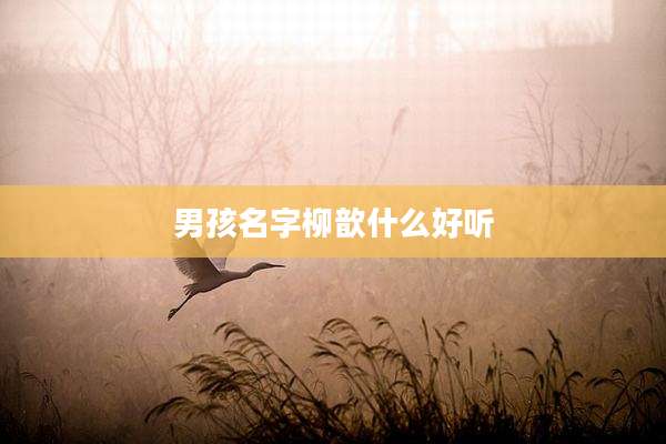 男孩名字柳歆什么好听