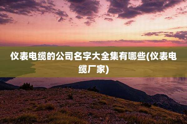 仪表电缆的公司名字大全集有哪些(仪表电缆厂家)