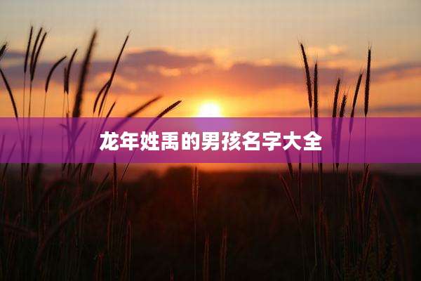 龙年姓禹的男孩名字大全