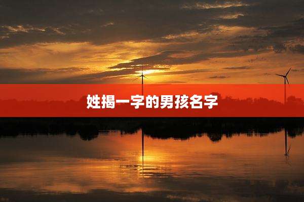 姓揭一字的男孩名字