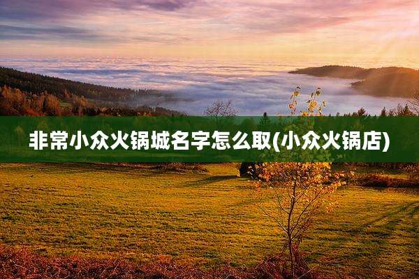 非常小众火锅城名字怎么取(小众火锅店)