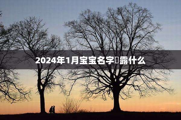 2024年1月宝宝名字嵺露什么