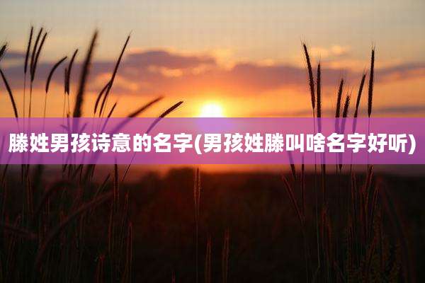 滕姓男孩诗意的名字(男孩姓滕叫啥名字好听)