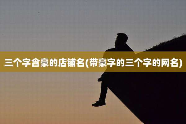 三个字含豪的店铺名(带豪字的三个字的网名)