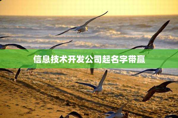 信息技术开发公司起名字带赢