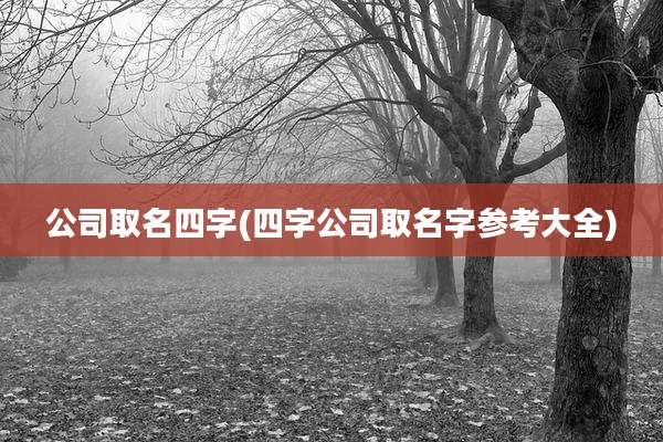 公司取名四字(四字公司取名字参考大全)