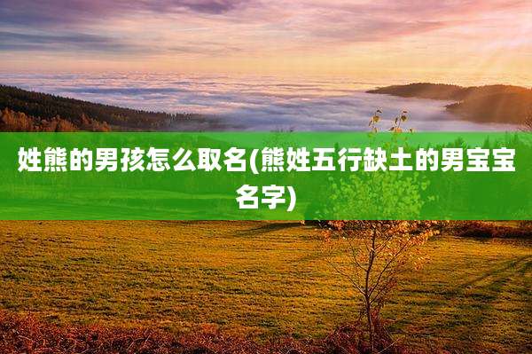 姓熊的男孩怎么取名(熊姓五行缺土的男宝宝名字)