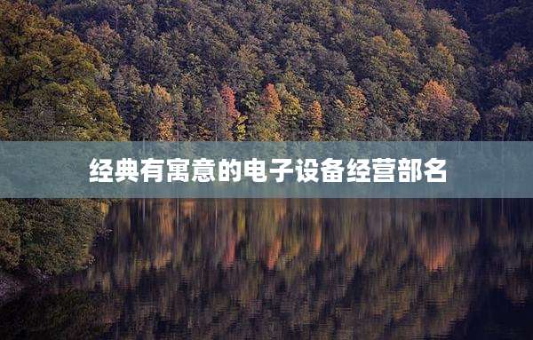 经典有寓意的电子设备经营部名