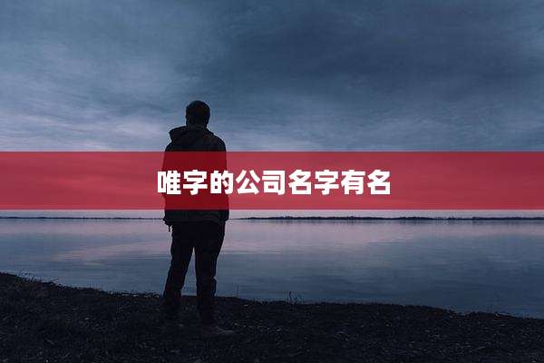 唯字的公司名字有名