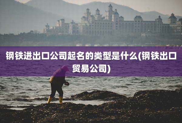 钢铁进出口公司起名的类型是什么(钢铁出口贸易公司)