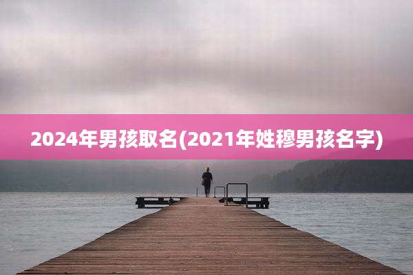 2024年男孩取名(2021年姓穆男孩名字)
