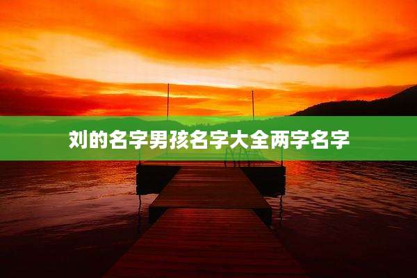 刘的名字男孩名字大全两字名字