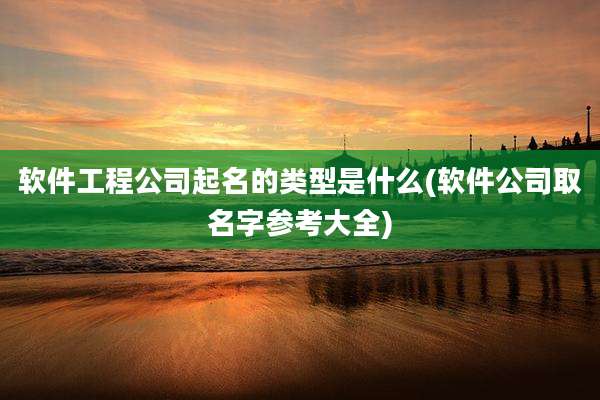 软件工程公司起名的类型是什么(软件公司取名字参考大全)