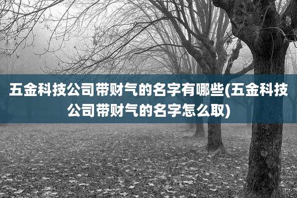 五金科技公司带财气的名字有哪些(五金科技公司带财气的名字怎么取)