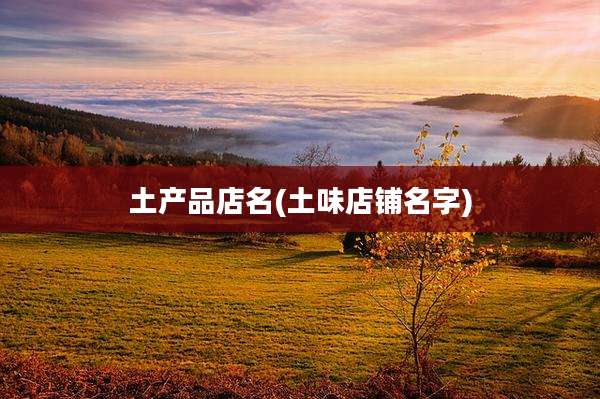 土产品店名(土味店铺名字)