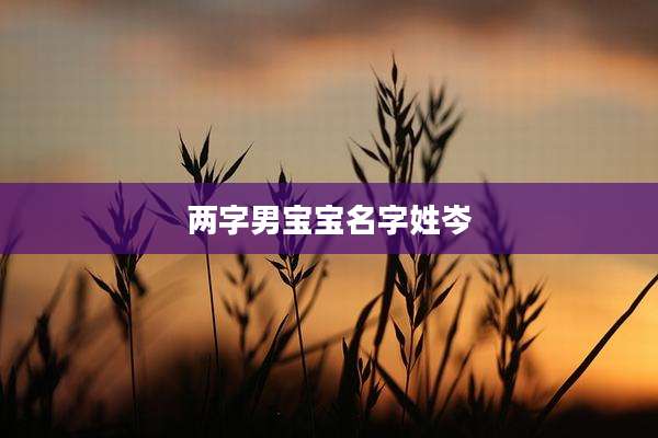 两字男宝宝名字姓岑