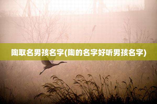 陶取名男孩名字(陶的名字好听男孩名字)