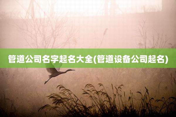 管道公司名字起名大全(管道设备公司起名)