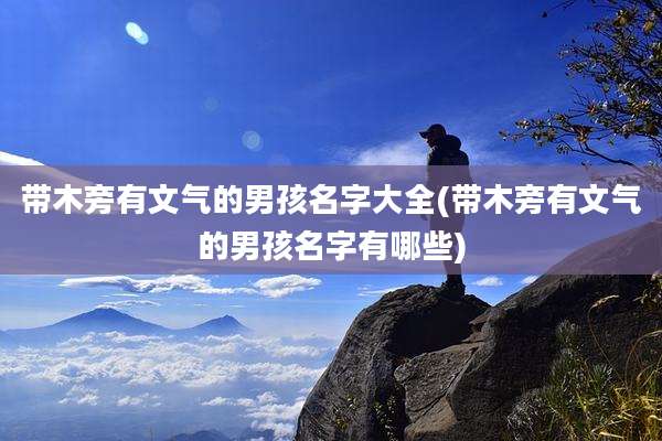 带木旁有文气的男孩名字大全(带木旁有文气的男孩名字有哪些)