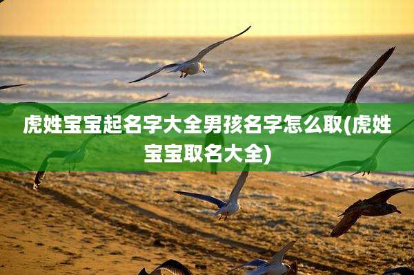 虎姓宝宝起名字大全男孩名字怎么取(虎姓宝宝取名大全)