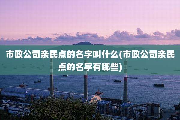 市政公司亲民点的名字叫什么(市政公司亲民点的名字有哪些)