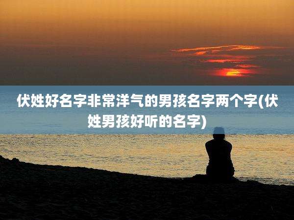 伏姓好名字非常洋气的男孩名字两个字(伏姓男孩好听的名字)