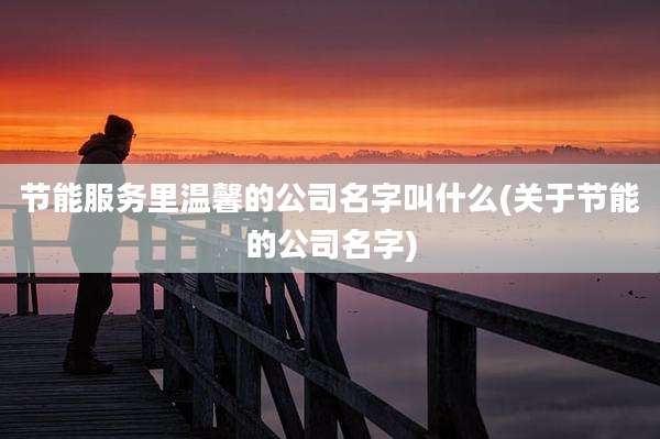 节能服务里温馨的公司名字叫什么(关于节能的公司名字)