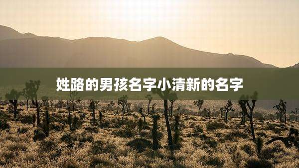 姓路的男孩名字小清新的名字