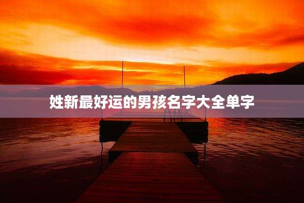 姓新最好运的男孩名字大全单字
