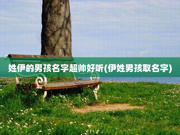 姓伊的男孩名字超帅好听(伊姓男孩取名字)