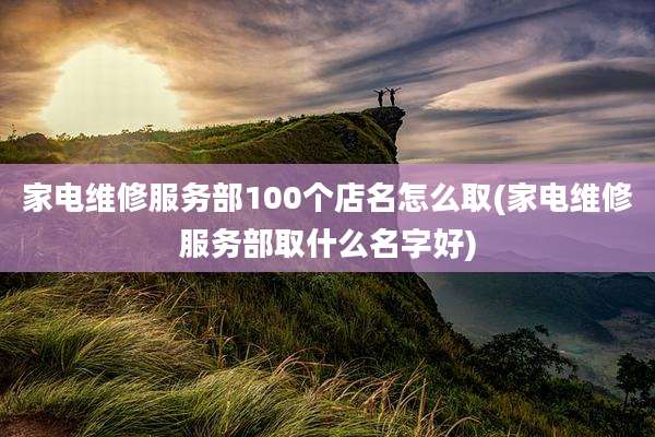家电维修服务部100个店名怎么取(家电维修服务部取什么名字好)