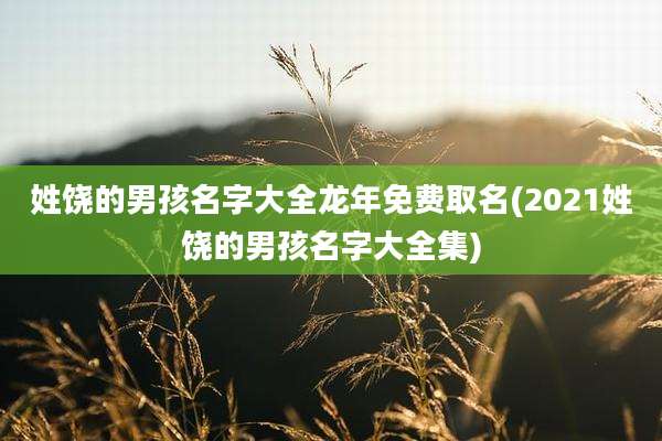 姓饶的男孩名字大全龙年免费取名(2021姓饶的男孩名字大全集)