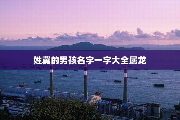 姓冀的男孩名字一字大全属龙