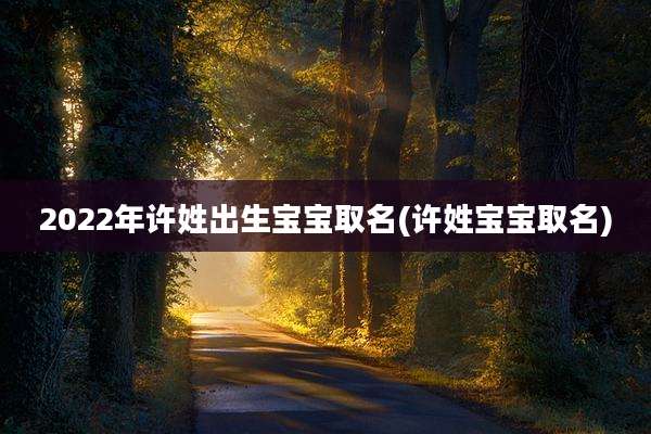 2022年许姓出生宝宝取名(许姓宝宝取名)
