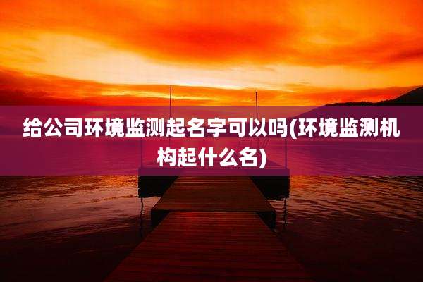 给公司环境监测起名字可以吗(环境监测机构起什么名)