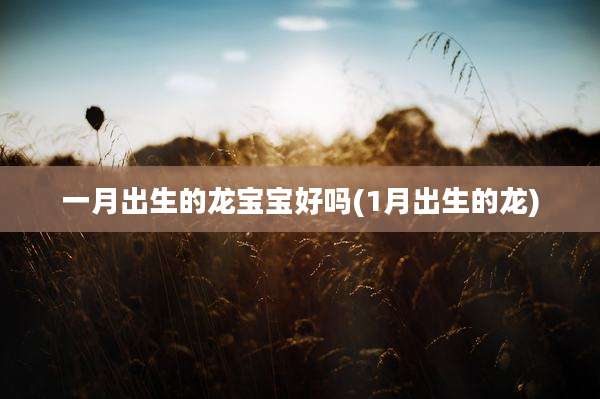 一月出生的龙宝宝好吗(1月出生的龙)