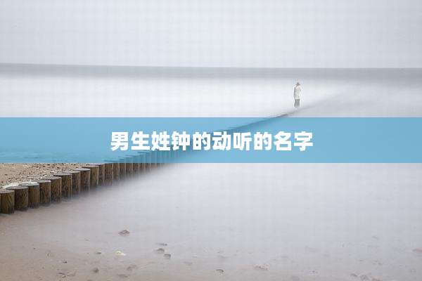 男生姓钟的动听的名字