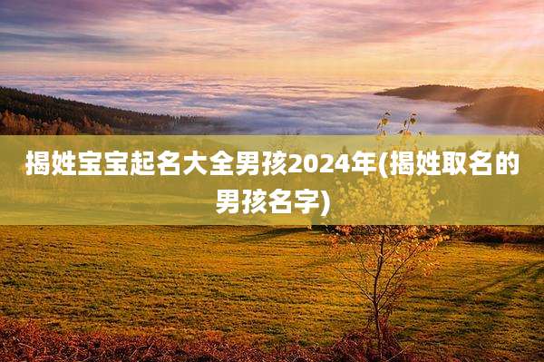 揭姓宝宝起名大全男孩2024年(揭姓取名的男孩名字)