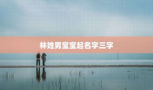 林姓男宝宝起名字三字