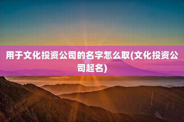 用于文化投资公司的名字怎么取(文化投资公司起名)