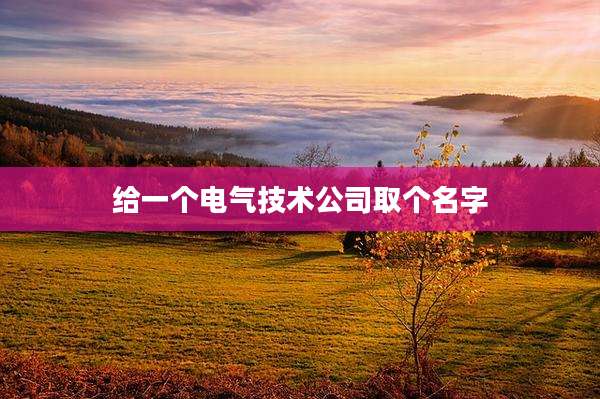 给一个电气技术公司取个名字