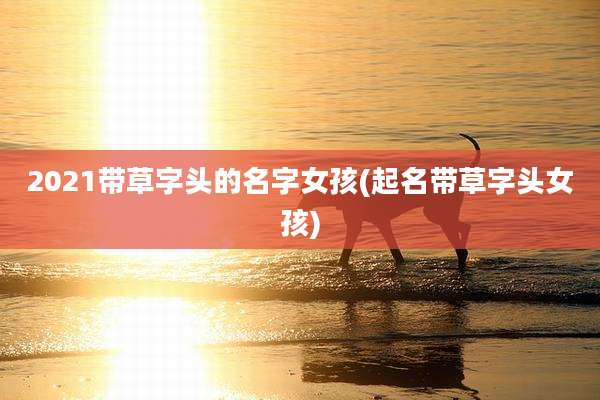 2021带草字头的名字女孩(起名带草字头女孩)