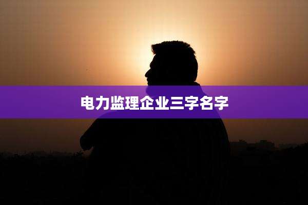 电力监理企业三字名字
