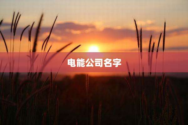电能公司名字