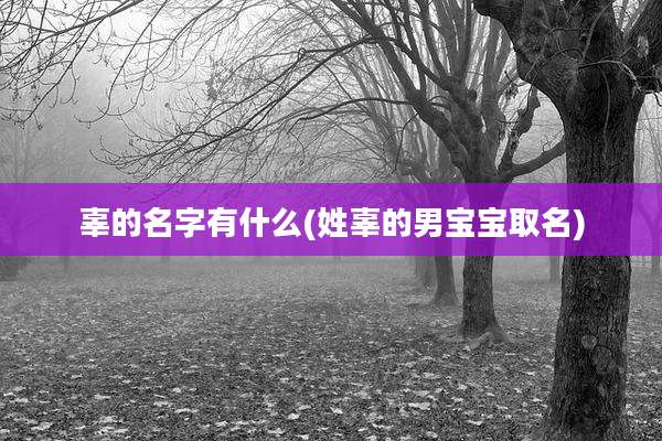 辜的名字有什么(姓辜的男宝宝取名)