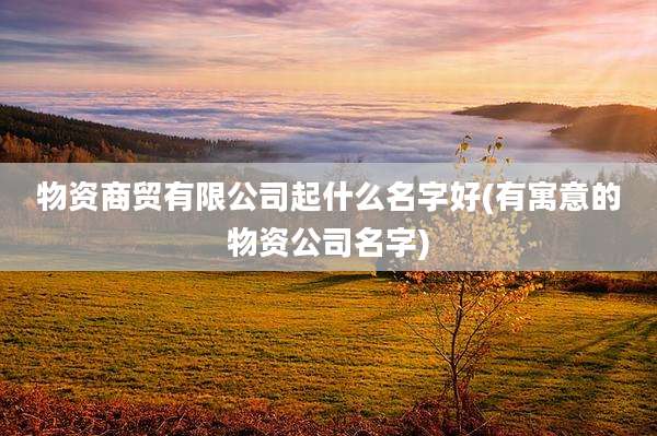 物资商贸有限公司起什么名字好(有寓意的物资公司名字)