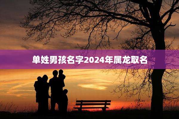 单姓男孩名字2024年属龙取名