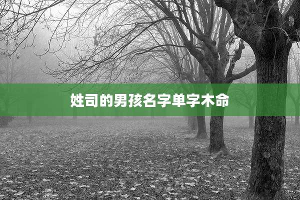 姓司的男孩名字单字木命