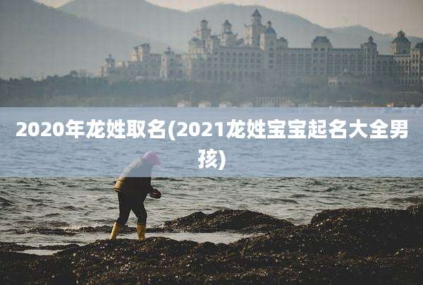 2020年龙姓取名(2021龙姓宝宝起名大全男孩)